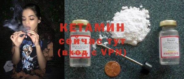 стаф Аркадак