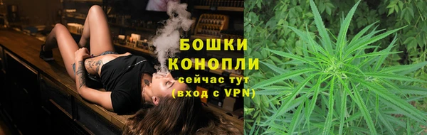 гидра Покровск
