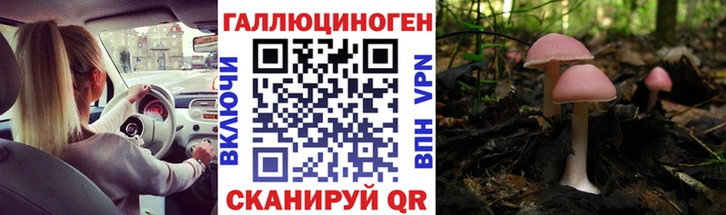 купить наркоту  Каменск-Шахтинский  сайты даркнета состав  Псилоцибиновые грибы Magic Shrooms 